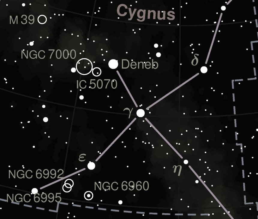 Cygnus
